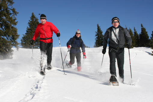 Nordic Snowshoeing