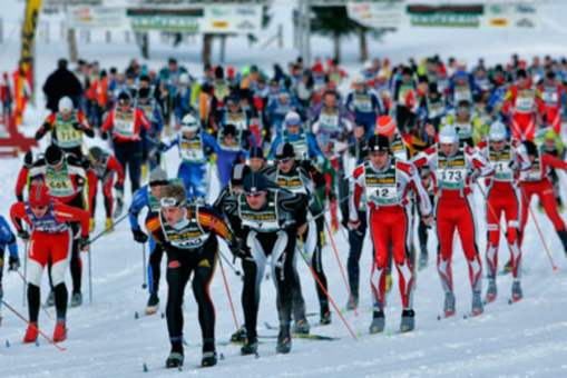 DSV Skilanglaufserie