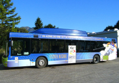 GAP 2011 - WM Bus
