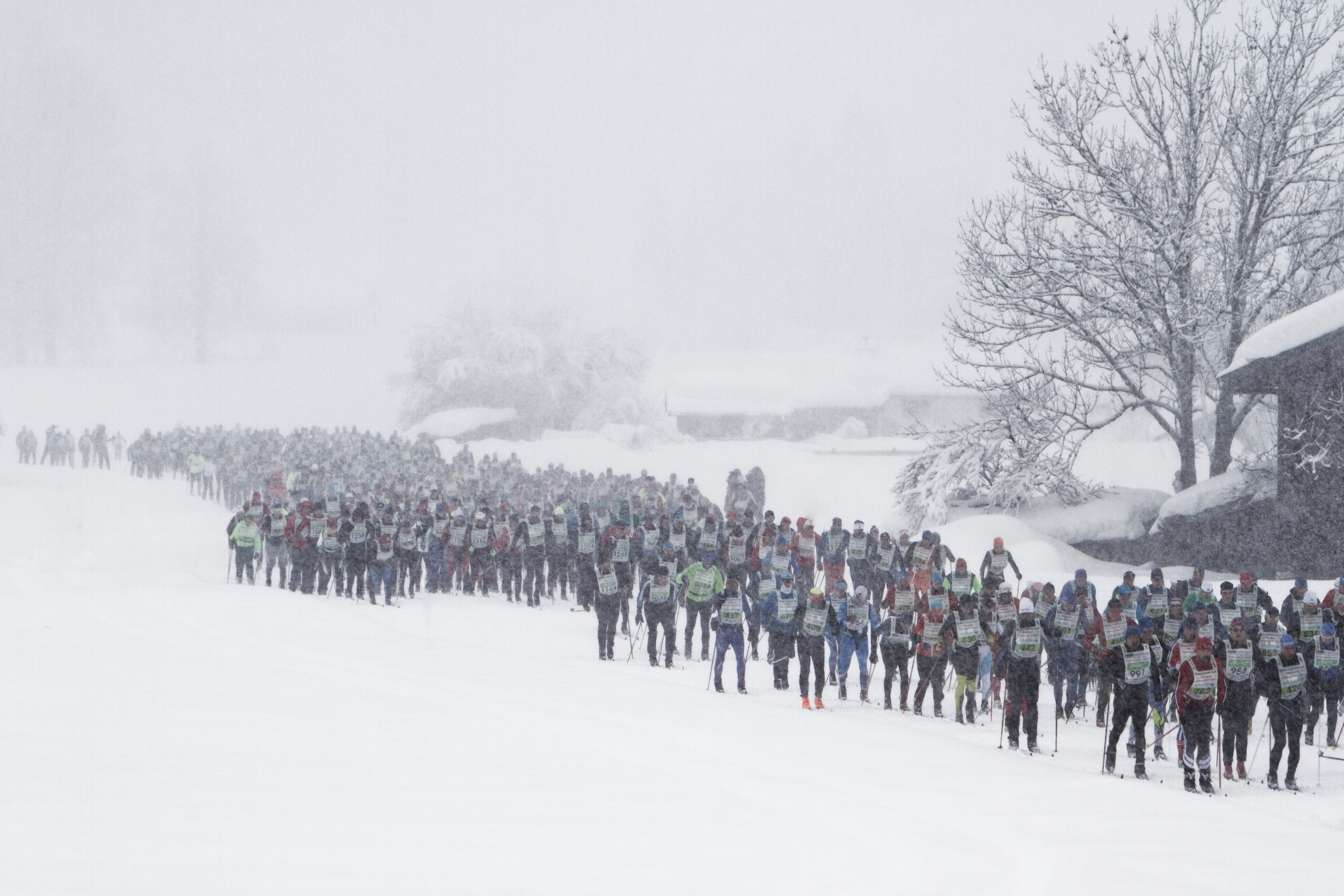 sehr viele Skimarathonläufer auf einer sehr verschneiten Strecke mit schlechter Sicht