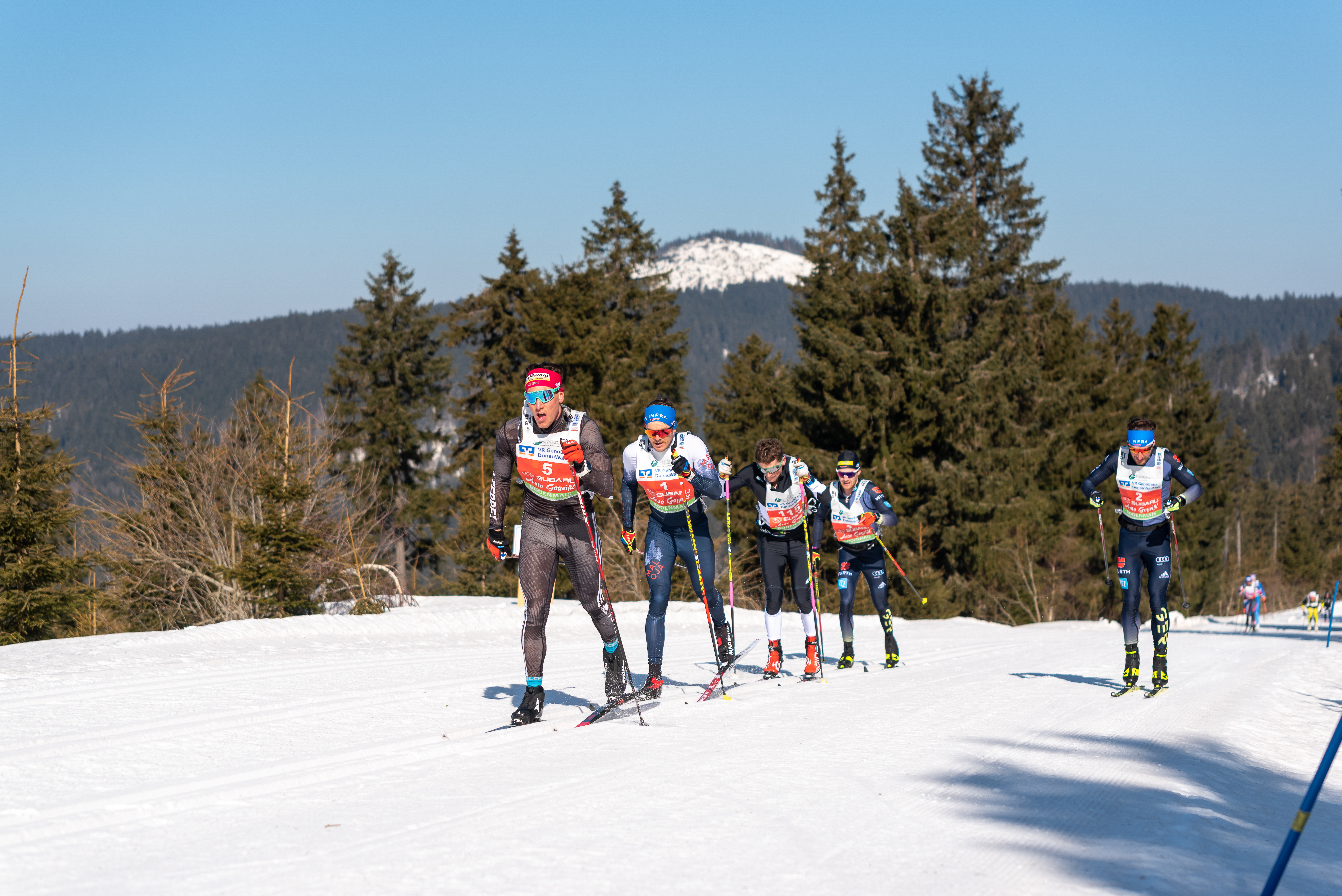 Fünf Skimarathonläufer setzen sich bei einem Anstieg ab