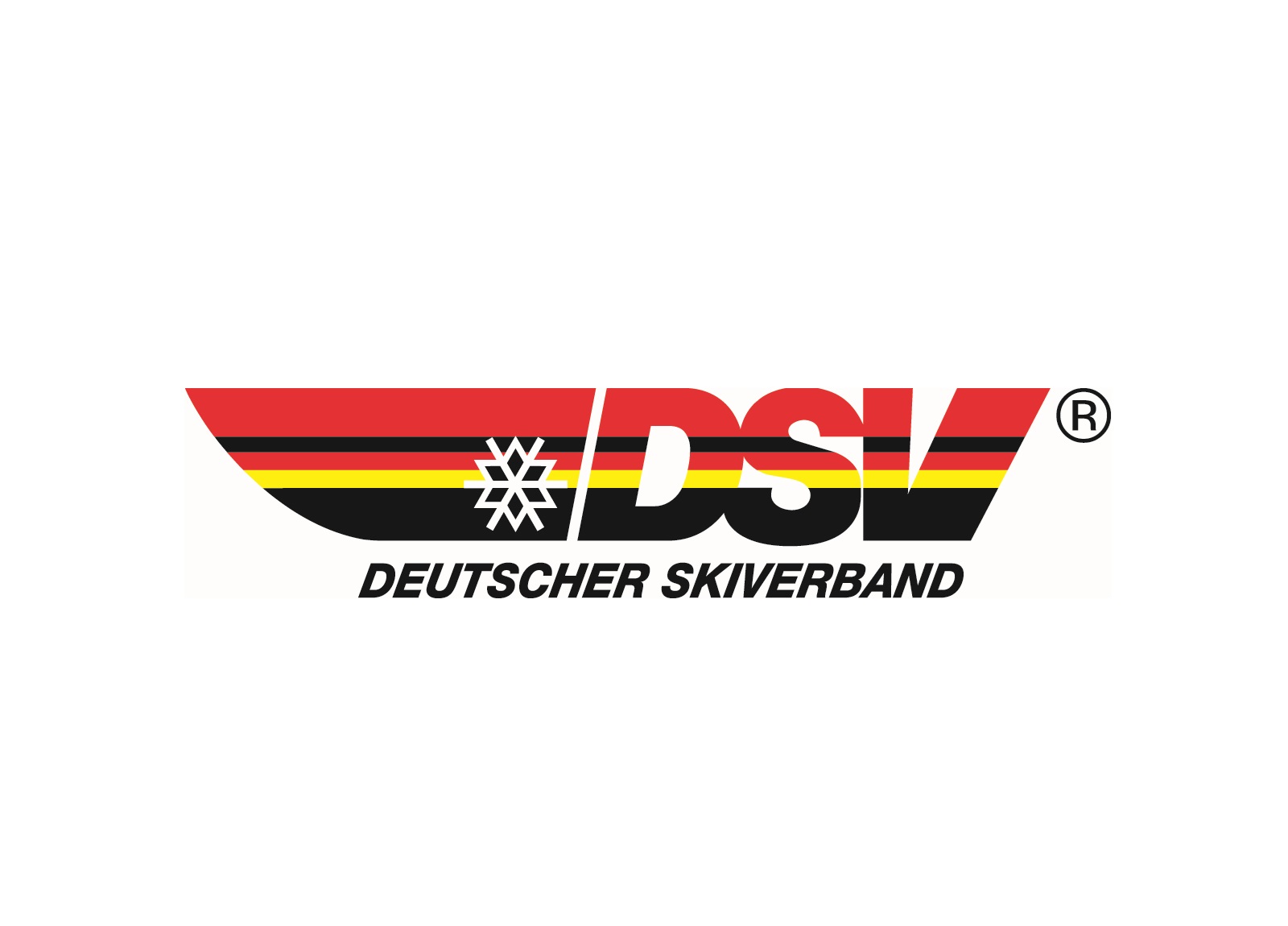 DSV-Logo