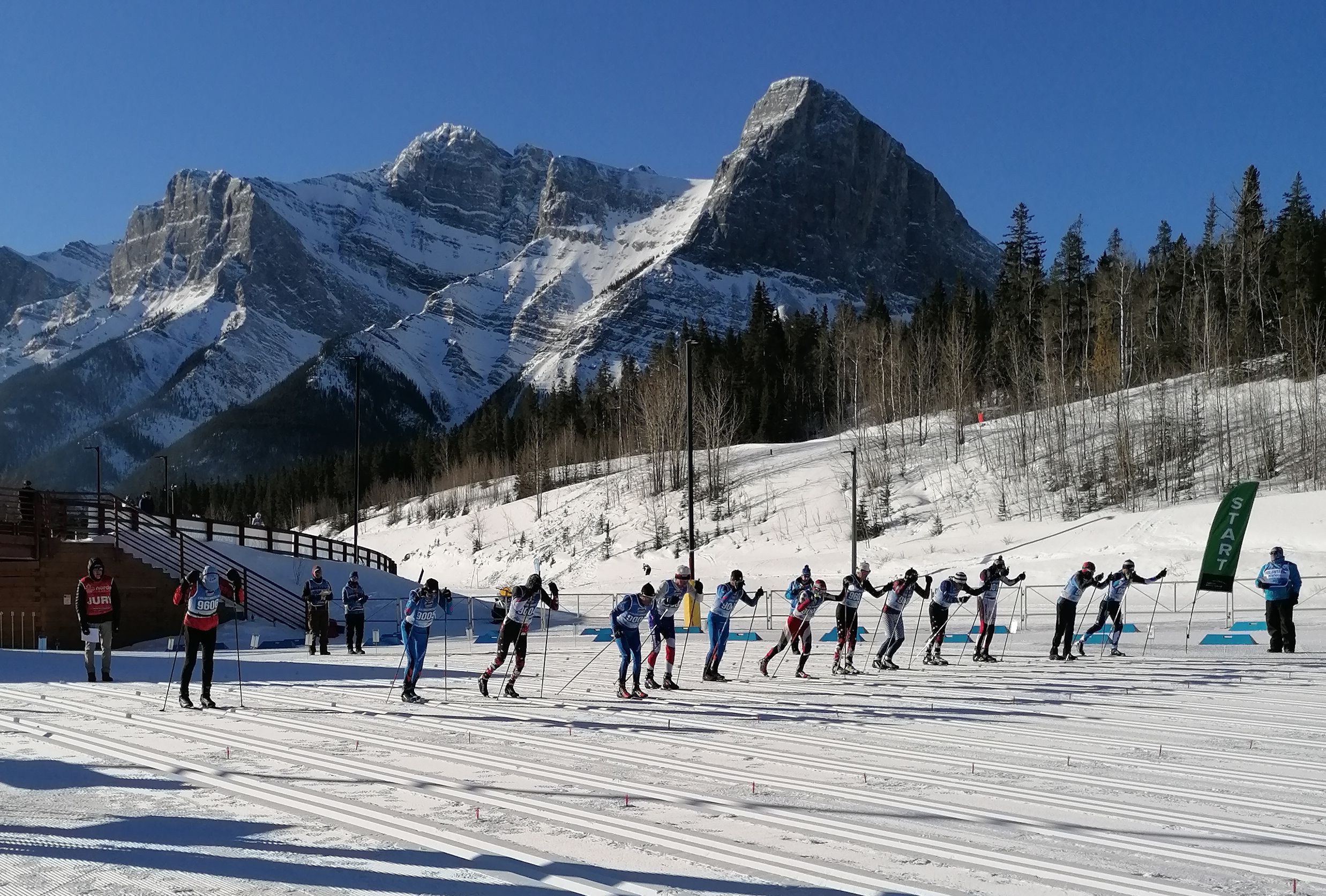 Mehrere Skimarathonläufer auf der Strecke