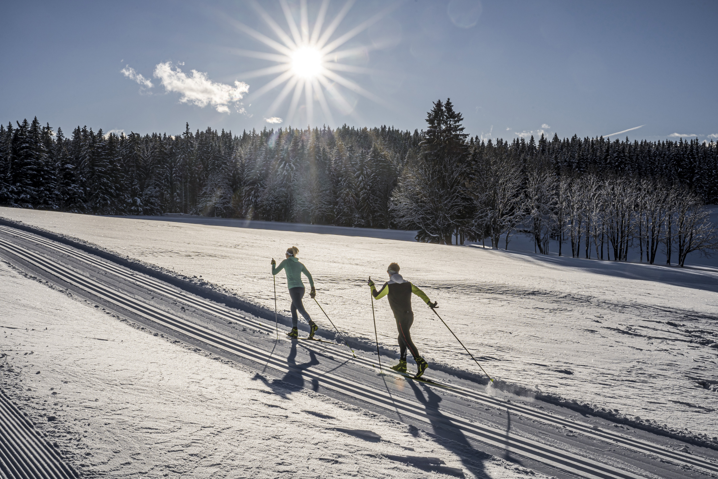 Langlaufen Sonnenplateau Ramsau am Dachstein: Waldloipe