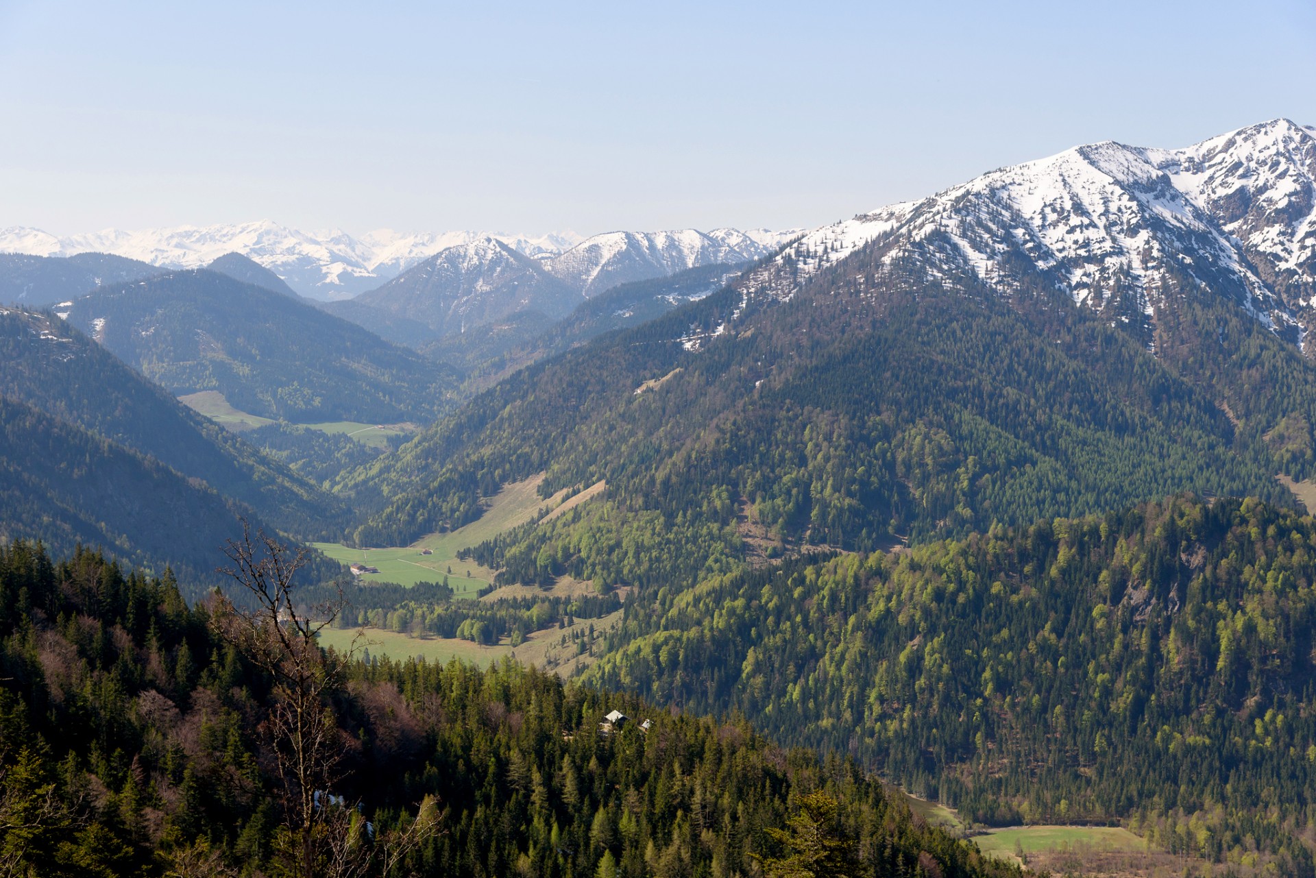 Bergwaldprojekt