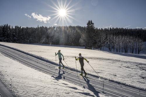 Langlaufen-Sonnenplateau-Ramsau-am-Dachstein-Waldloipe