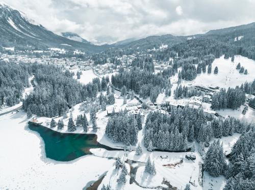 Verschneite Winterlandschaft, Region Lenzerheide